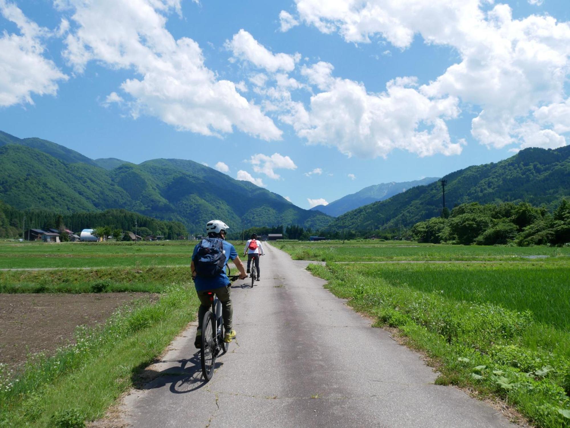 Guesthouse Shirakawa-Go Inn 外观 照片